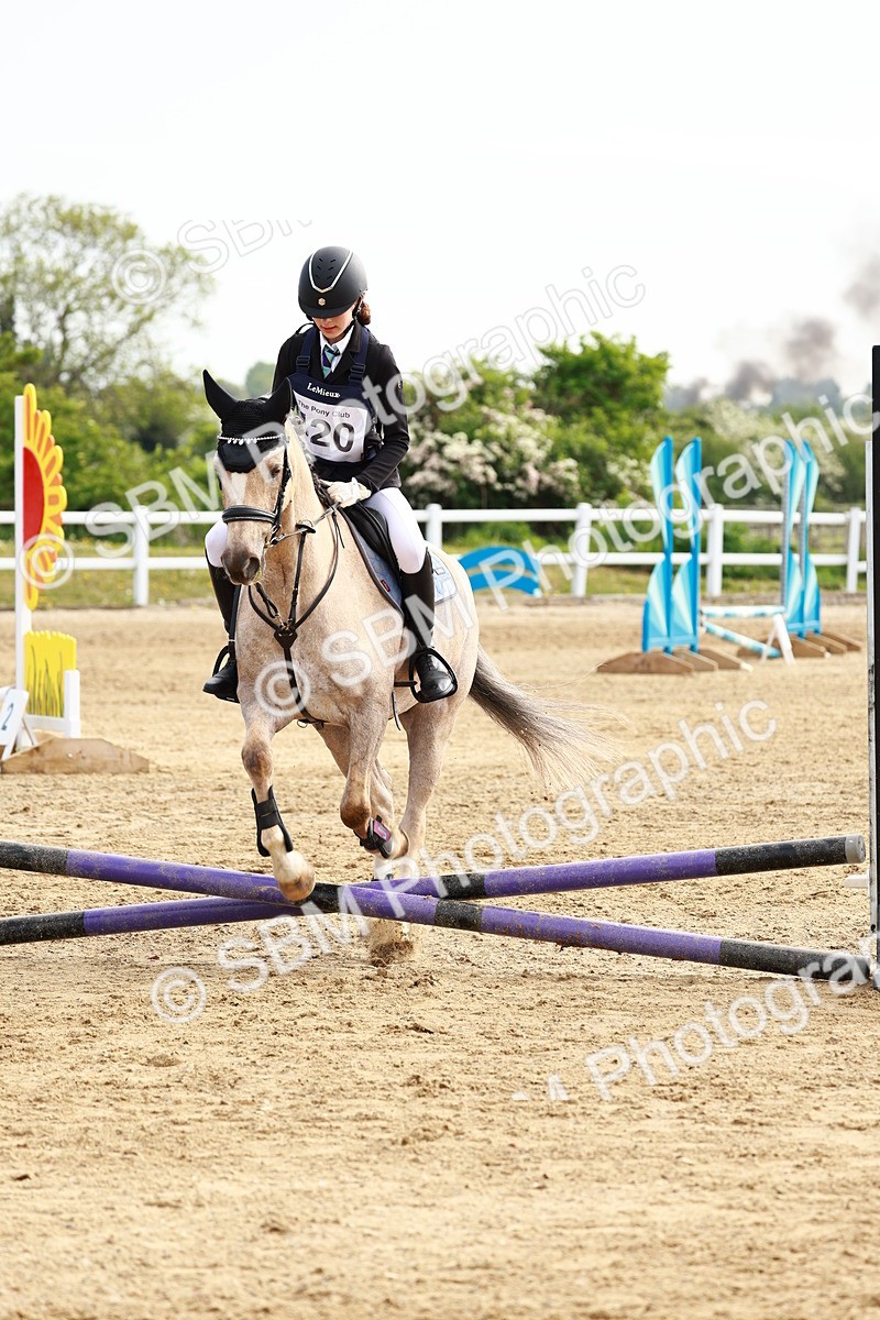 SBM_006515 - Class 1 - 40cm