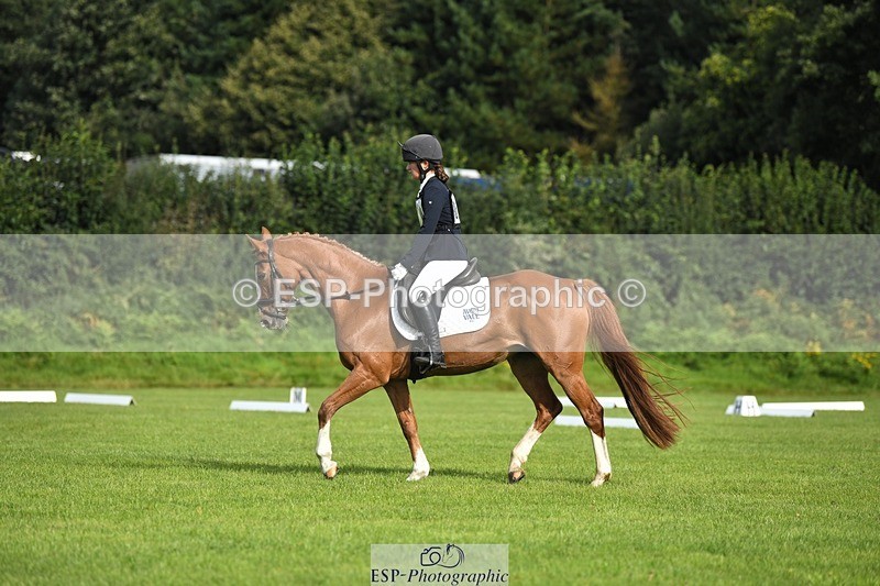 230826-093051-15128 - Sections C & D 9 to 10am