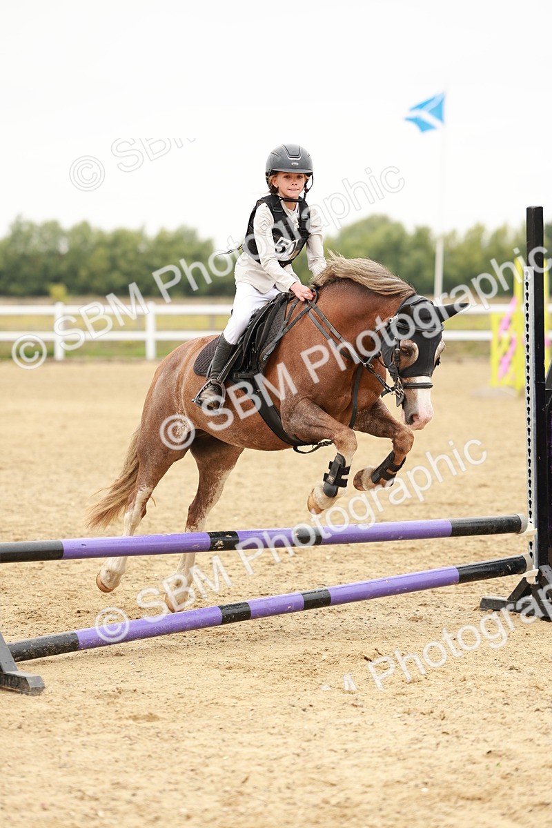 SBM_007283 - Class 2 - 50cm