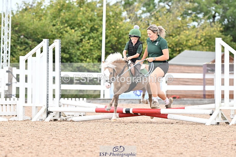 250821B-121102-00334 - Group D - Thomasina