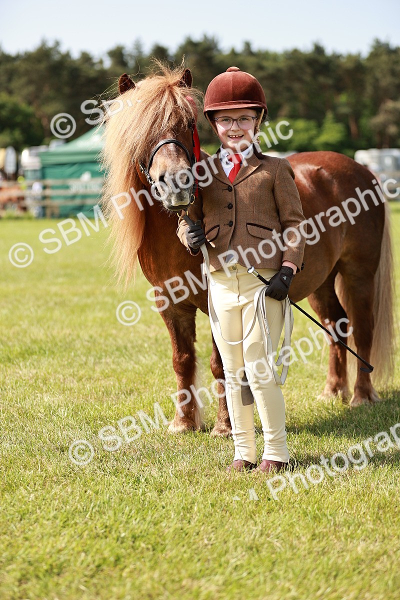 SBM_01851 - Class 14-23 - Mountain & Moorland In Hand Non Welsh