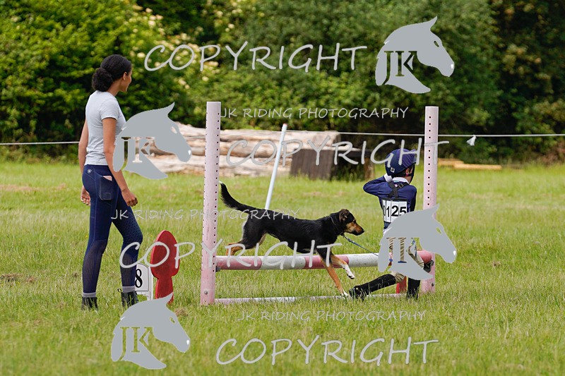 _DSC4841 - CLASS 7 HORSE & HOUND RING 2