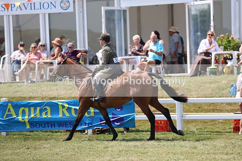 3E7A9392 - Class 12: Open Racehorse to Show Horse