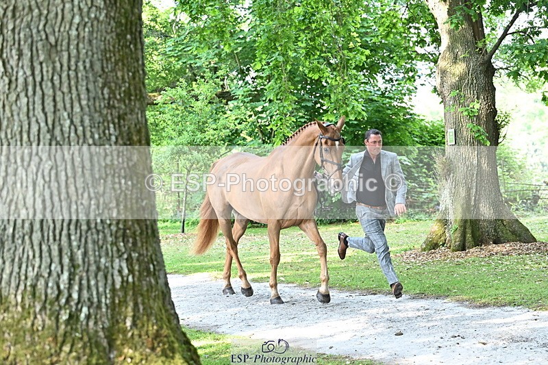 250521A-165631-01416 - C-273-Tim.Cheffings-HEARSAY.LARK.RISING