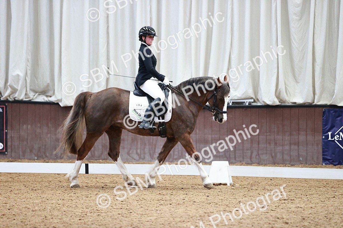 SBM_000144 - Class 3, 4, 8, 10 Intro 3 Prelim 3 Novice 2