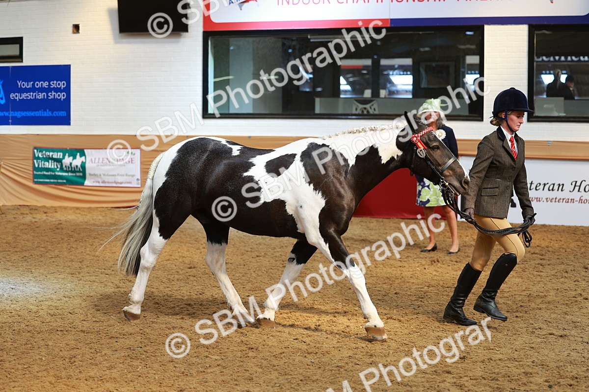 SBM_10722 - Class 103 - HOYS Veteran Qualifier - Ridden Pre Vet