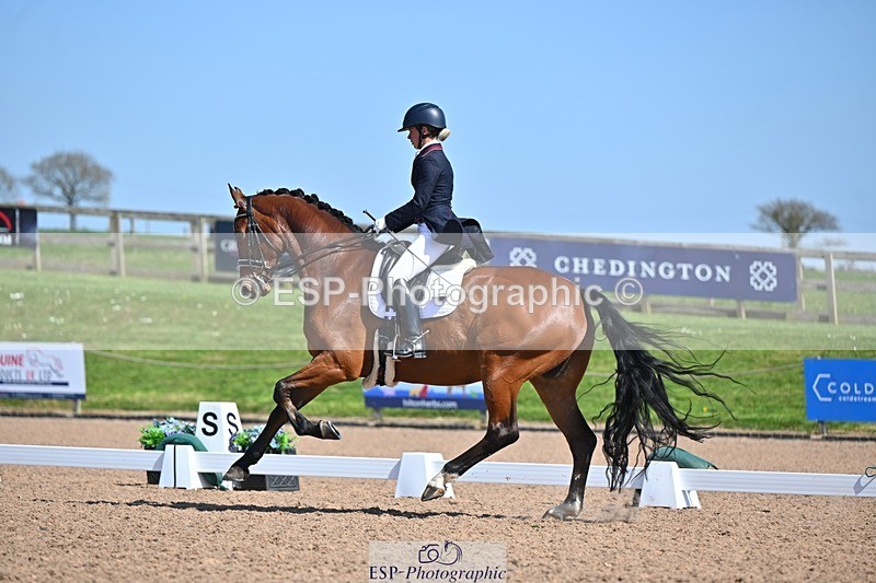 250405-130307-10823 - 028-Elizabeth.Allen-Heraldik