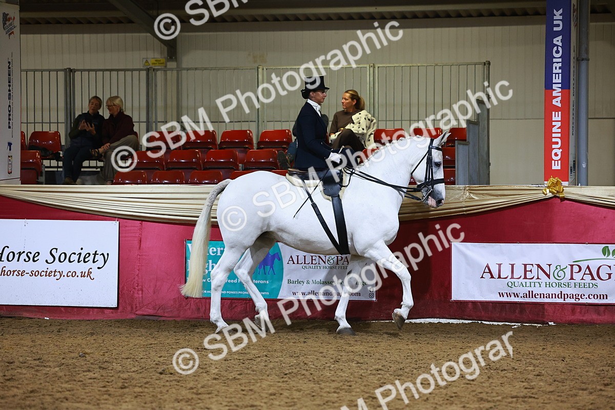 SBM_15018 - Class N - Side Saddle Champ