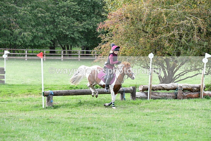 WJ5_0610 - Time 13:59 to 14:28