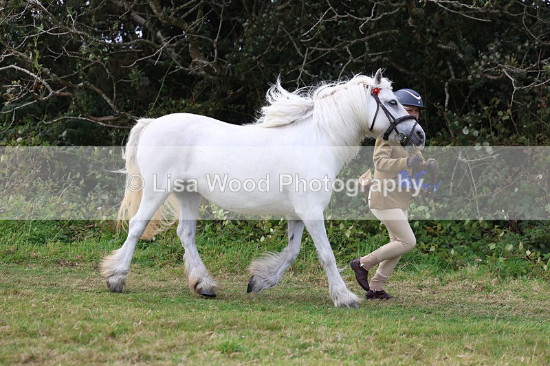 3E7A5632 - In Hand Championship