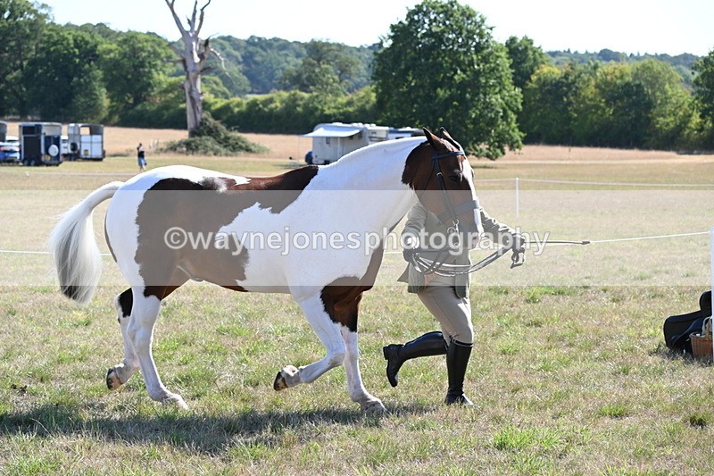 WJ6_4231 - Class 16 Condition & Turn Out