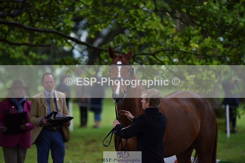 240522-163916-01063 - 265-GREANNANSTOWN_MONBEG_JOE-Finn_Healy