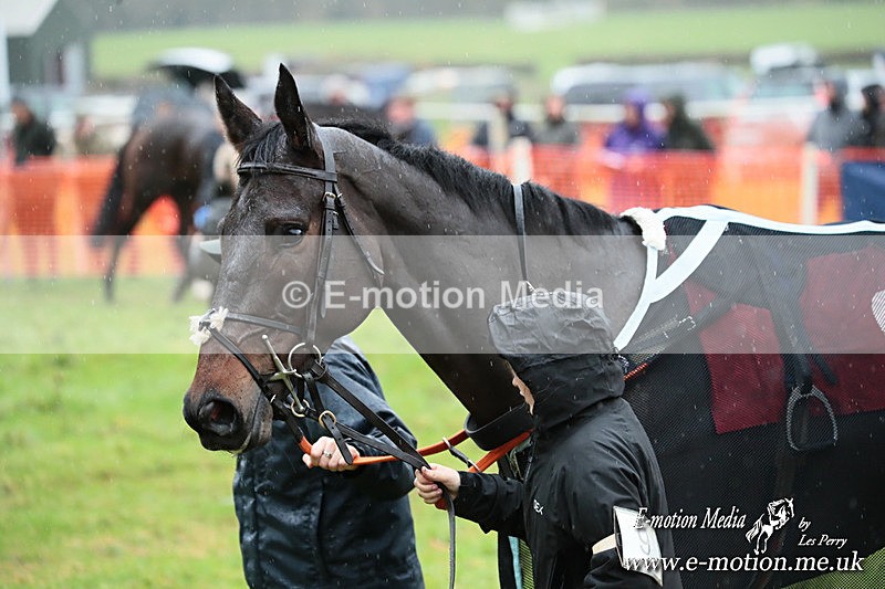 PtP 091125 0254 - Point-to-Point Wales Area Club Lower Machen, Gwent 09/11/25