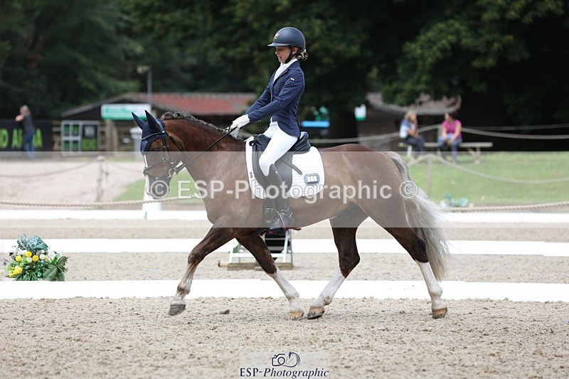 230812-115941-03901 - Cls 5 Novice Bronze 11.15 to 12.50 break