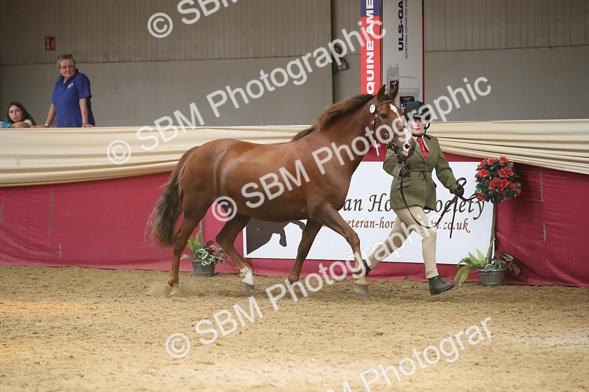 SBM_05575 - Class 9R - Regional IH Pre-Vet