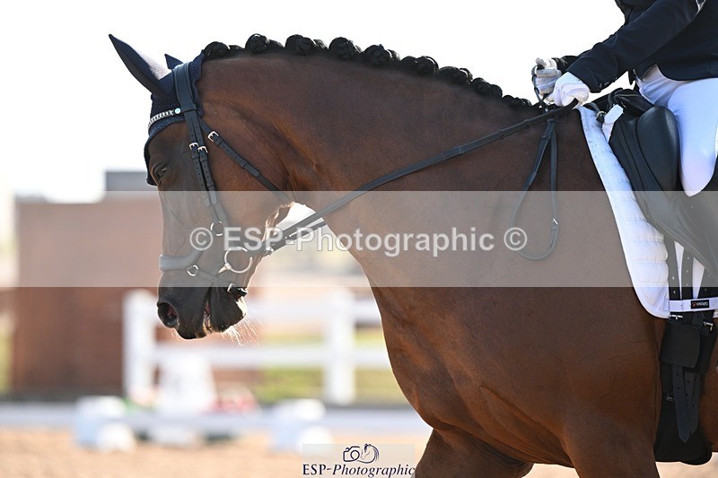 250816-090113-02816 - 063-Carolynn.JacksonFree.Flight