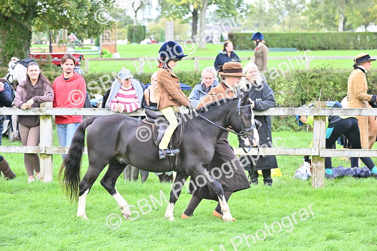 SBM_38332 - S19 - Lead Rein Show & Show Hunter Pony