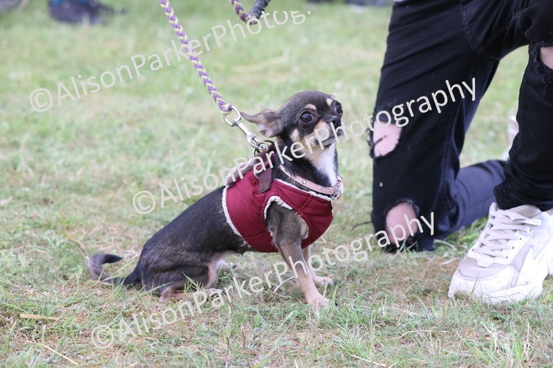 20250607-0212 - Class 4 - Little and Large