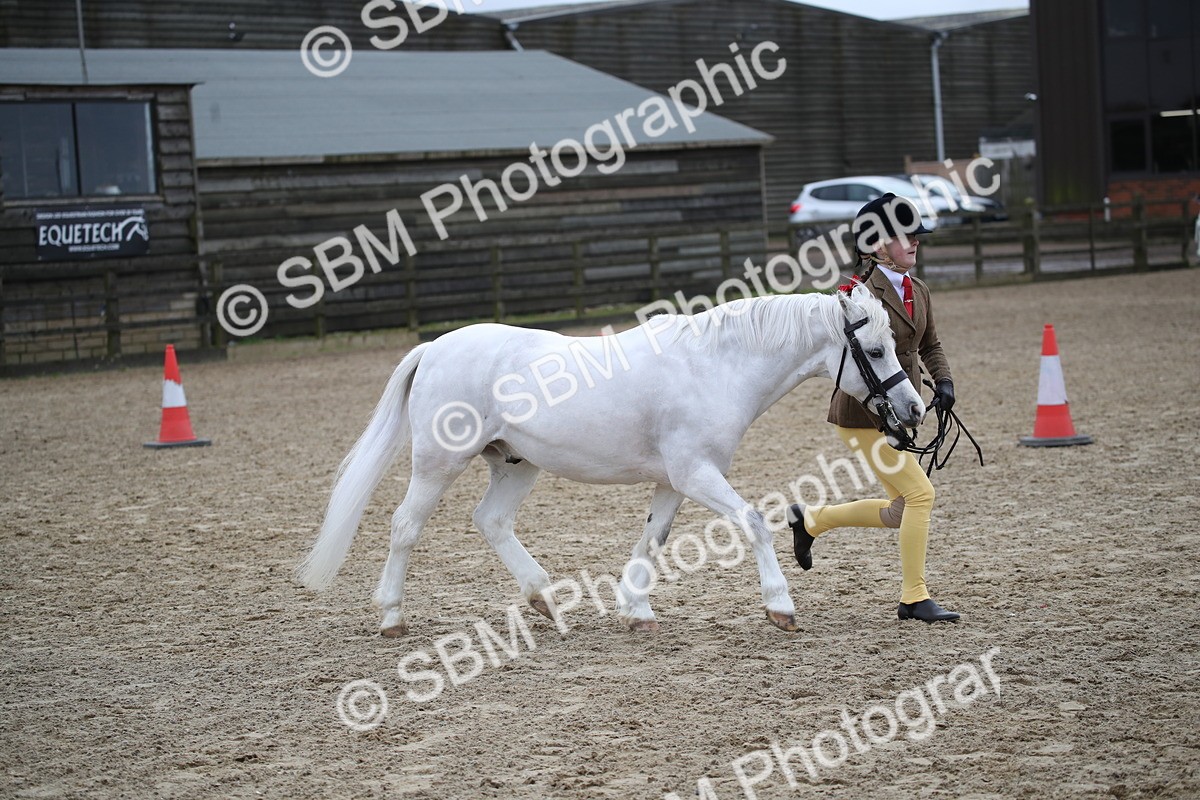 SBM_005969 - Class 10-13 - RIHS Small Large Breeds
