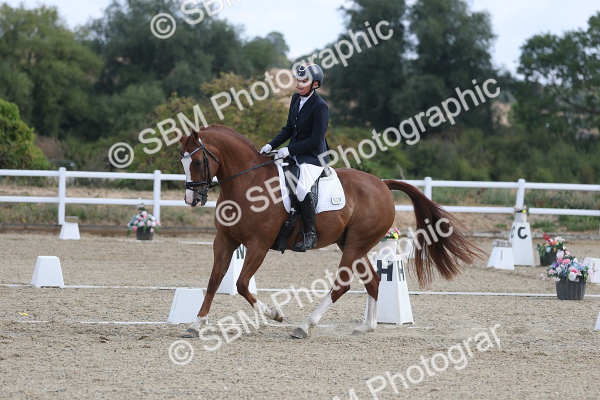 SBM_020412 - Class 21 - M5 Bronze 9.30.10.34