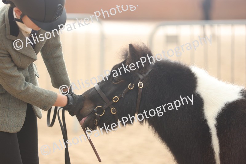 20251109-0402 - Class 15 - Coloureds