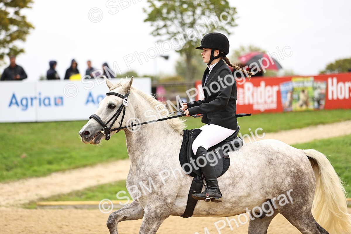 SBM_68944 - J18 - Junior Pony 85cm championship
