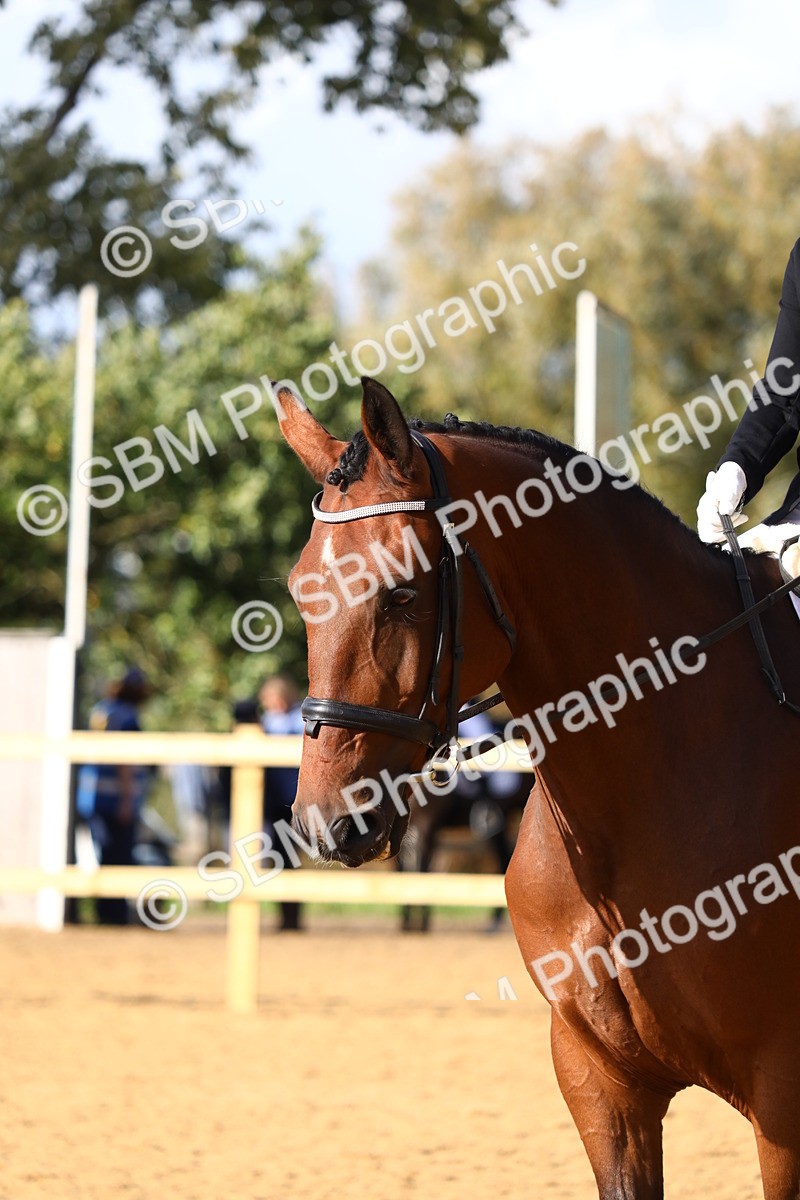 SBM_26766 - D11 - Small Tour Championship Prelim 1