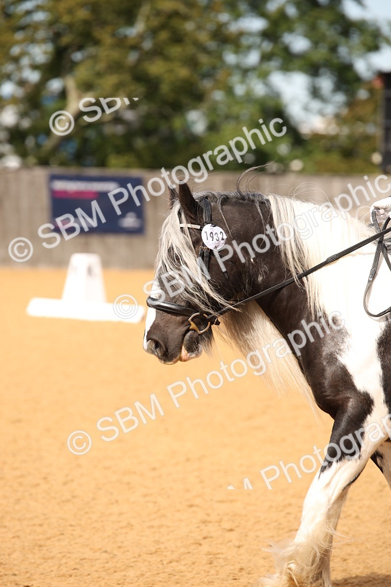 SBM_21764 - D5 - Small Tour Championship - Intro C