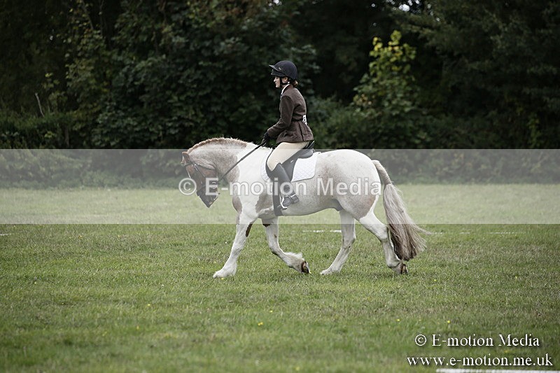 BVR080918 15 - BVRC Novice Dressage & CR 08/09/18
