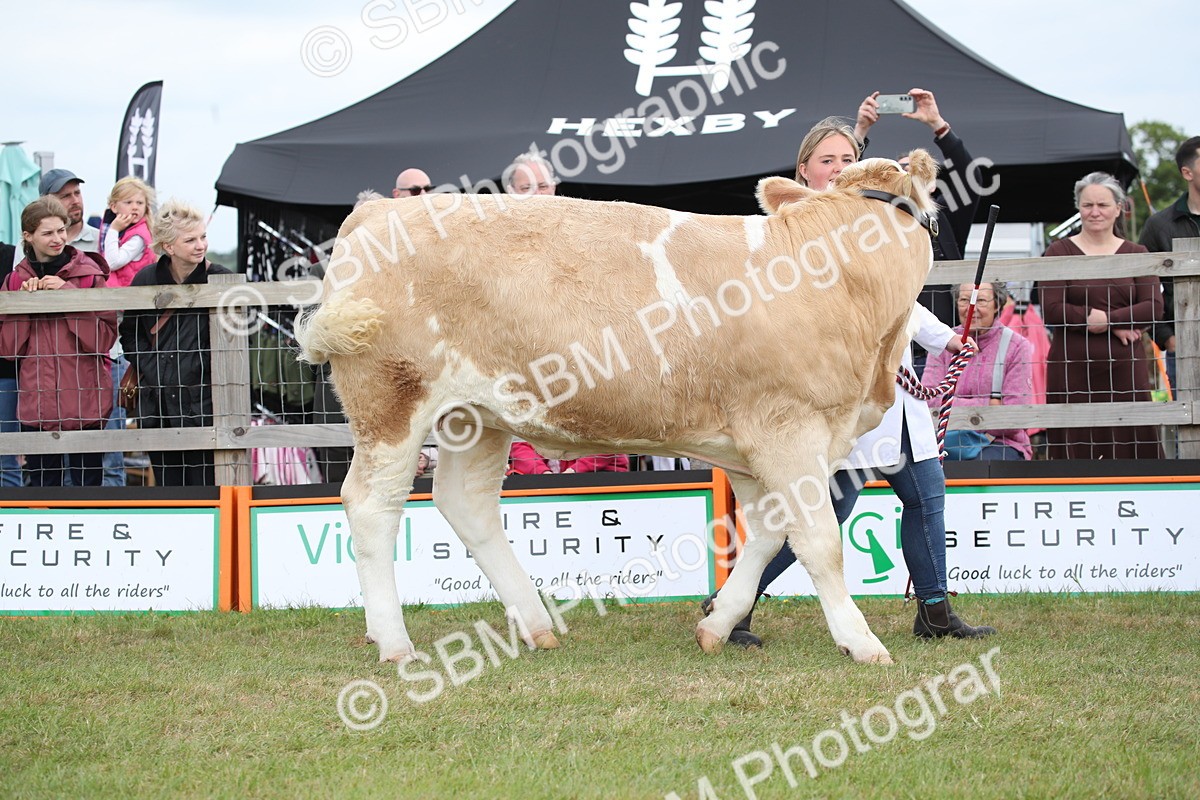 SBM_07870 - Grand Parade