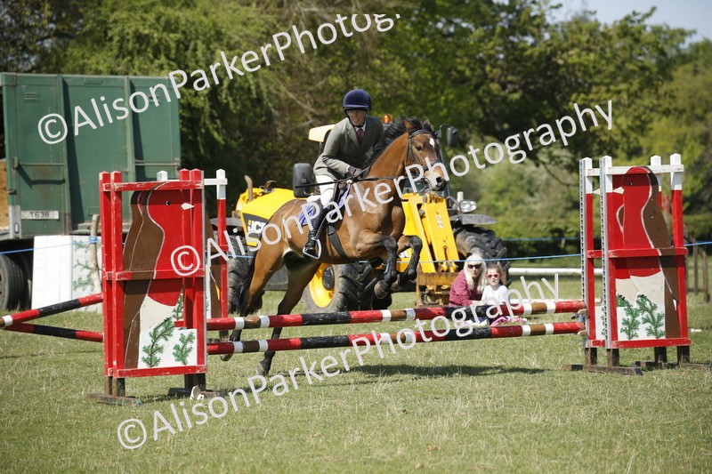 20250427-2273 - Class 13 - Novice Jumping 60cm
