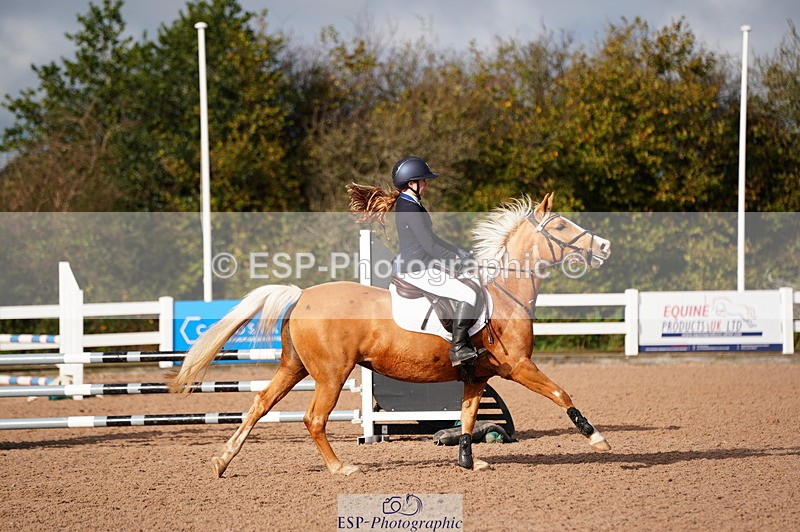 241027A-102308-02079 - SUN Cls 4 Pony British Novice and 80cm