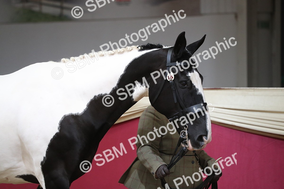 SBM_06202 - Class 9R Regional- IH Pre Vet