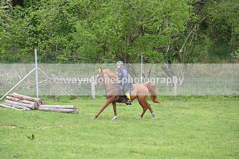 WJ6_3212 - A camera