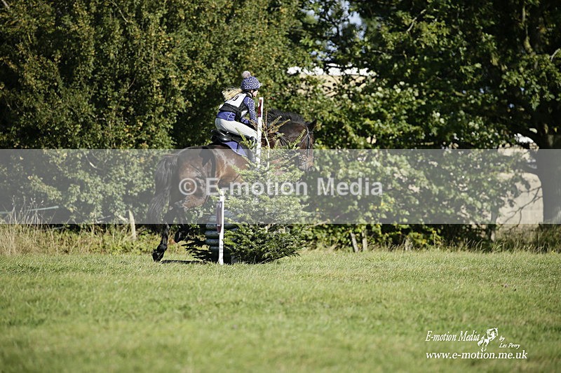  WWHT 031021 1293 - Open Novice (0.80m) 03/10/21