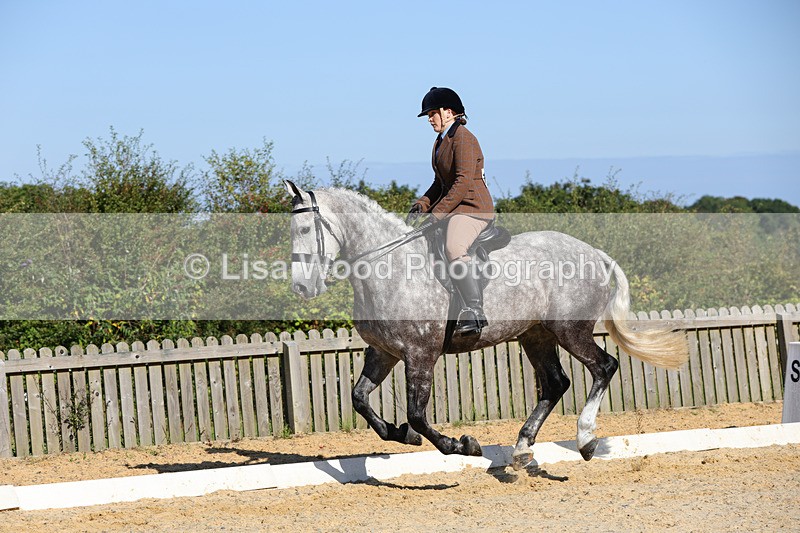 1X9A7788 - Class 9: Open Ridden Hunter