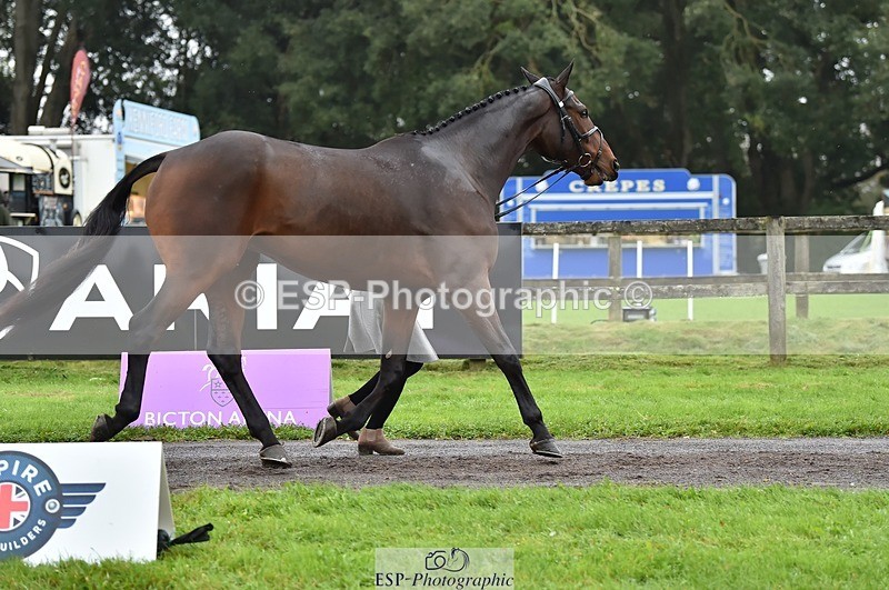 231018-122148-00239 - 030-MONBEG.SHELBY-Kat.Raybould-TrotUp