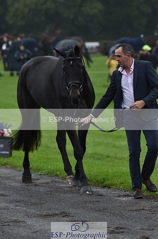 231018-120622-00082 - 060-COOKSTOWN.JACKSON-Alan.Nolan-TrotUp