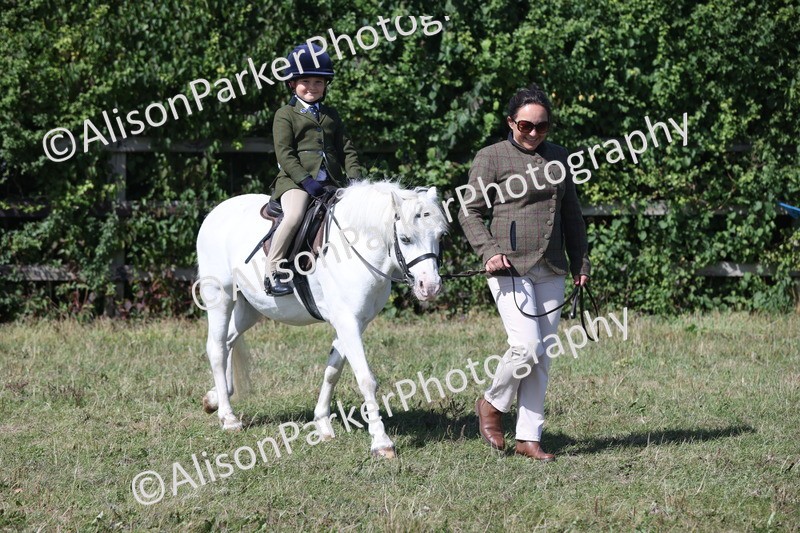 20250831-3150 - Class 24 - Absolute Beginners Pony