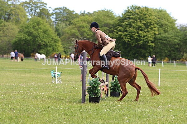 IMG_2952 - Working Hunter