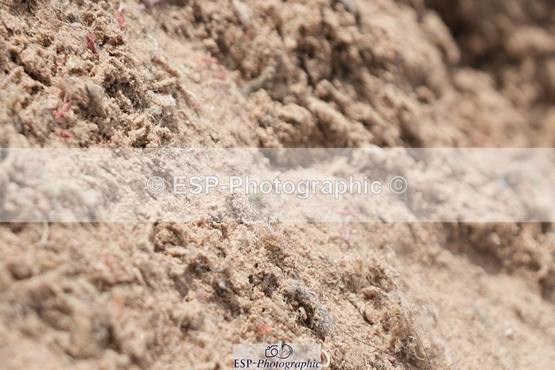 250921-135745-03429 - Cls 15-17 CoH 90cm, 1m and 1.10m