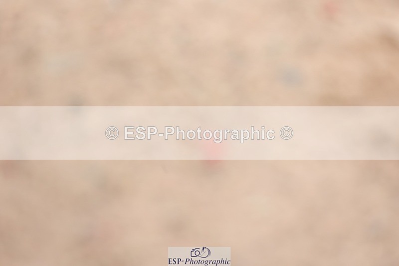 250719-181116-17779 - Cls 7, 3 Star Big Tour Break to End