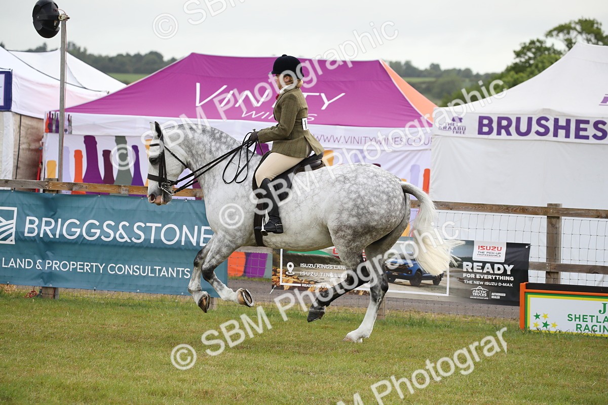 SBM_11092 - Class 92-93 - LIHS BSHA Rising Star Cobs