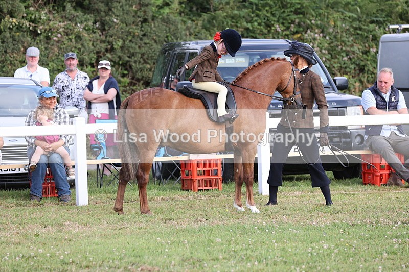 JPP_0281 - Class 14: Cornish Combination Leading Rein