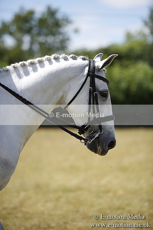 _C7A0227 - Side Saddle Classes BVRC Show 2018