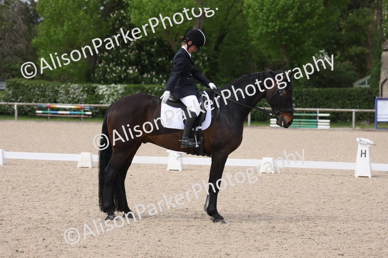 20260502-0877 - Class 7 - Novice 2