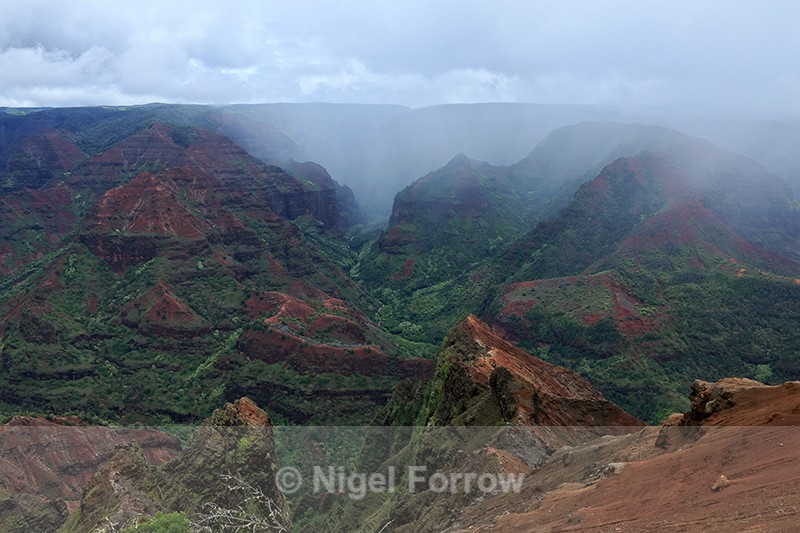 Misty Waimea Canyon, Kauai - Hawaiian Islands, USA