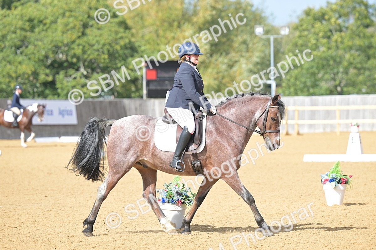SBM_10936 - D3 - Small Tour Championship Intro 3