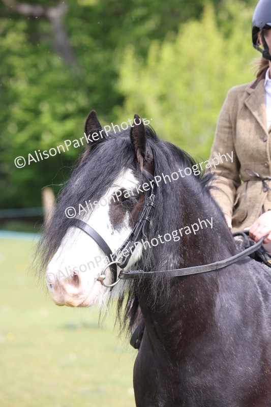 20260426-3001 - Class 33 - Best Pony 14.2hh and Under
