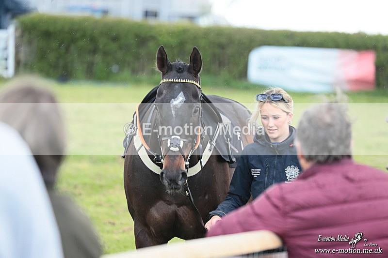 PtP 180426 638 - Worcestershire Hunt PtP Chaddesley Corbett 18/04/26